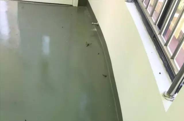 死尸遍地！寧波一幼兒園裝修后現(xiàn)場(chǎng)觸目驚心！