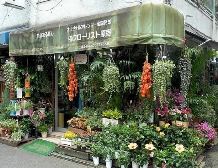 90后美女在閣樓開店鋪！房間太破，奇思妙想用各種植物來掩蓋