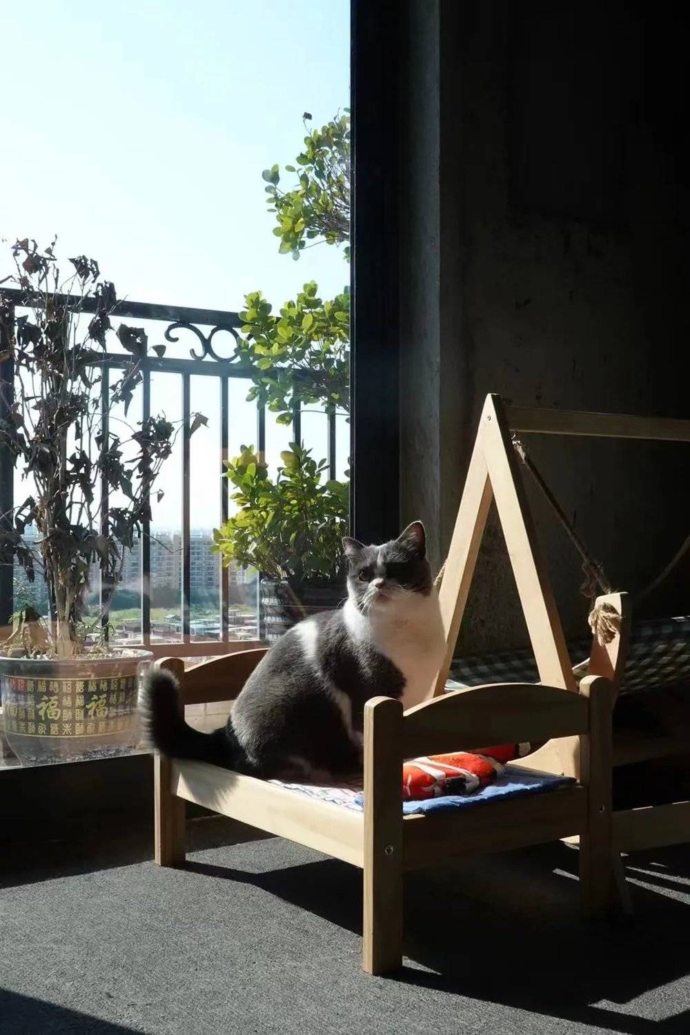 我為什么住進毛坯房？